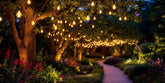 Garden with glowing outdoor bulb lights in twilight.