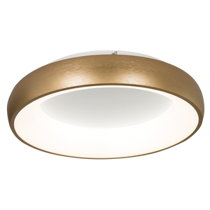 Karri Gold LED Ceiling Light (Launch Special) - Future Light - LED Lights South Africa