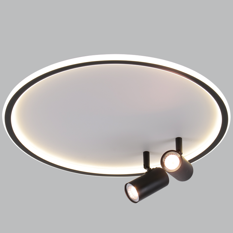 Walle LED Ceiling Light