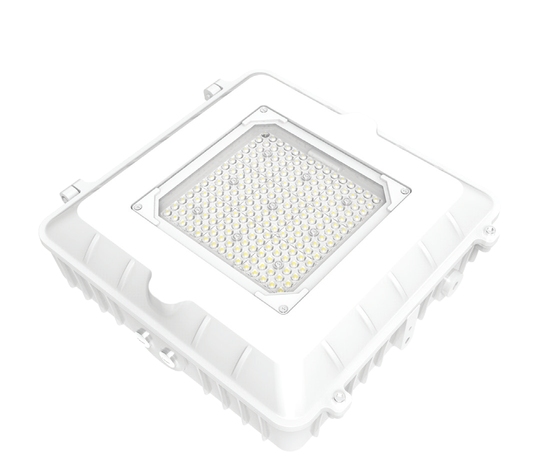 Defender All-In-One LED Canopy Light