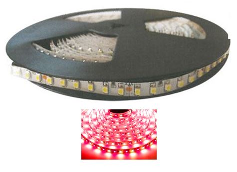 LED Striplight 12V - 3528 Waterproof (5m Roll)