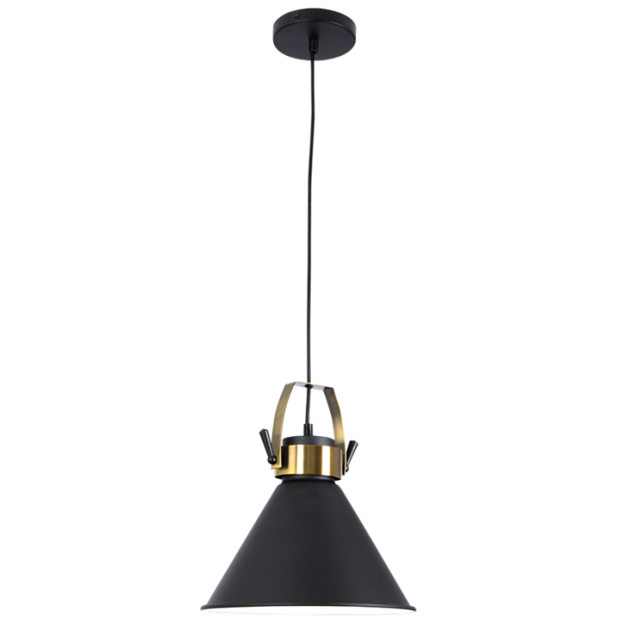 Black & Brass Pendant Light (Launch Special)