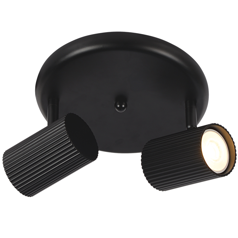 2 Light Ribbed Matt Black Ceiling Spotlight